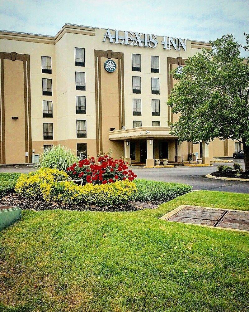 Alexis And Hotel